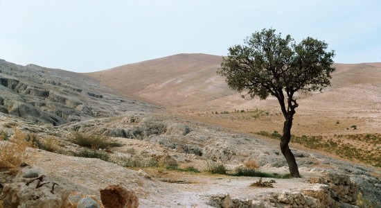 Syrian landscape near the Qalamoun Mountains
